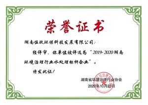 2019-2020湖南环境治理行业水处理标杆企业